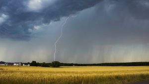La guerra, El Niño y un vuelco vertiginoso en el mercado del trigo